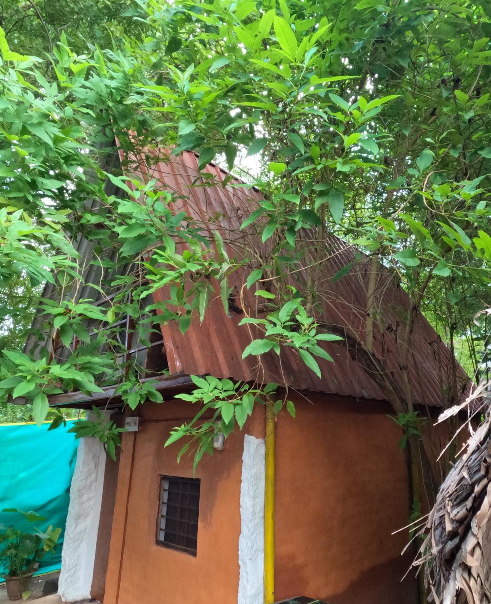 Vilari Hotel Auroville Eksteriør billede