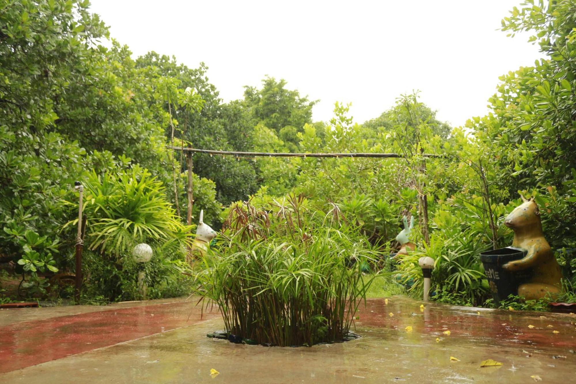 Vilari Hotel Auroville Eksteriør billede