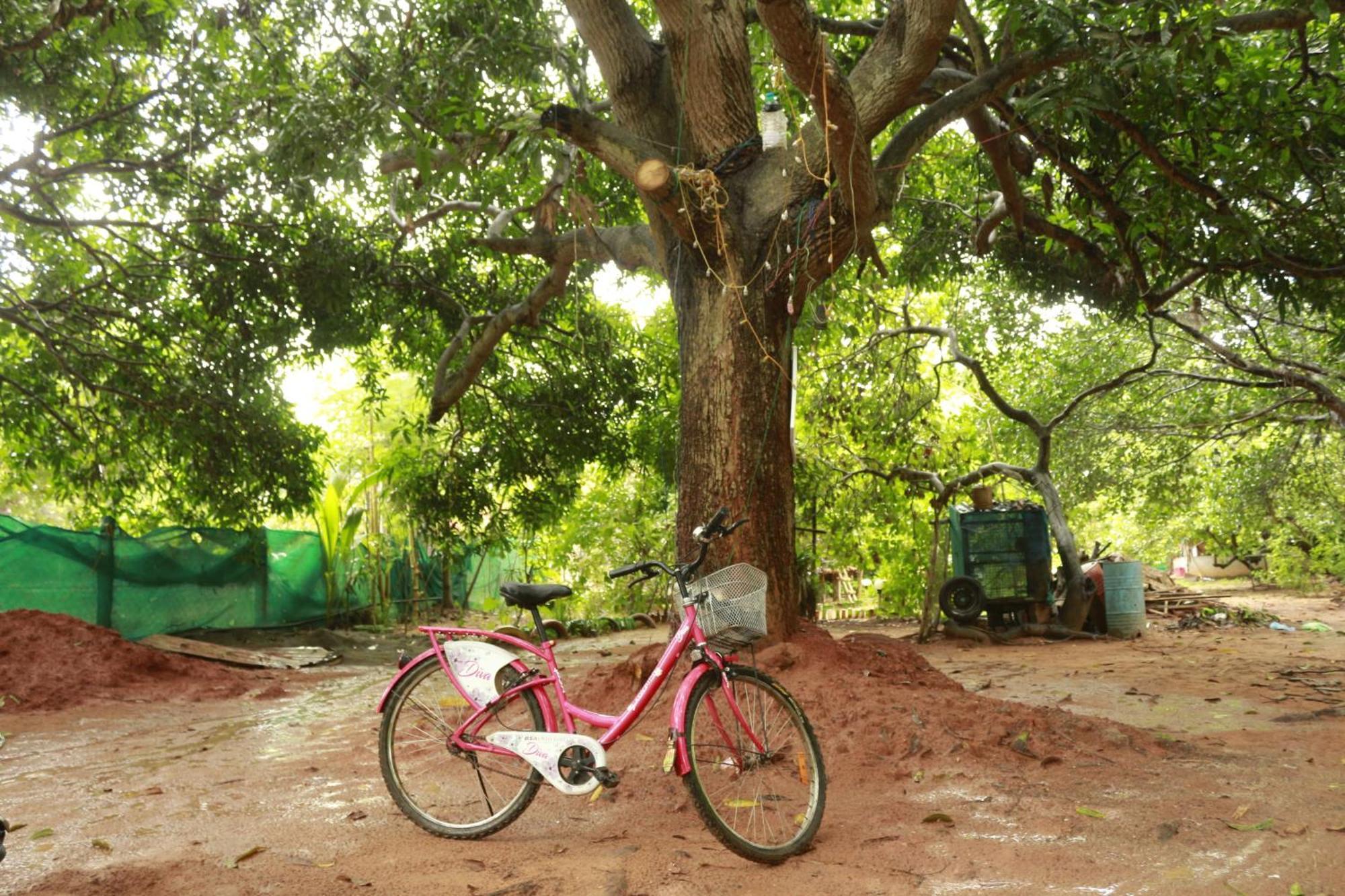 Vilari Hotel Auroville Eksteriør billede