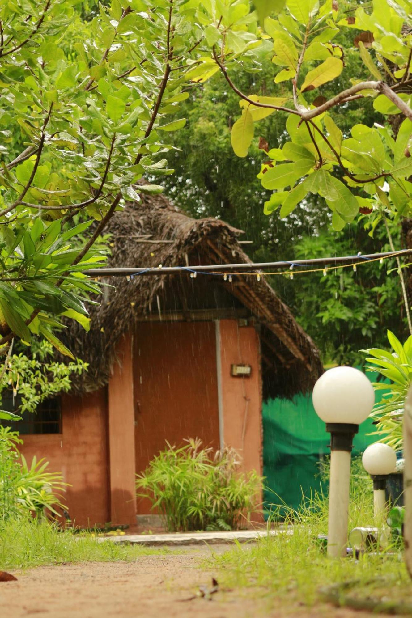 Vilari Hotel Auroville Eksteriør billede